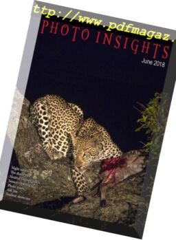 Photo Insights – June 2018