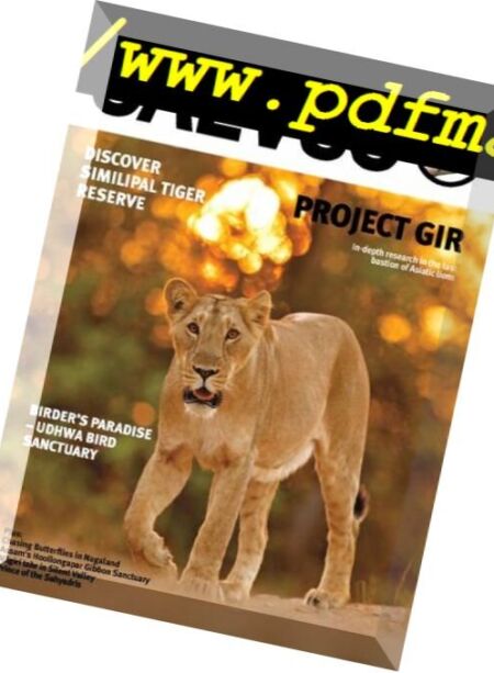Saevus – June-August 2018 Cover