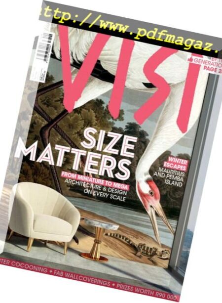 Visi – June 2018 Cover