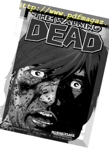 Walking Dead (Russian) – n. 040 Cover