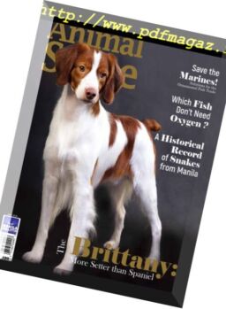 Animal Scene – July 2018