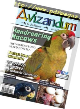 Avizandum – July 2018