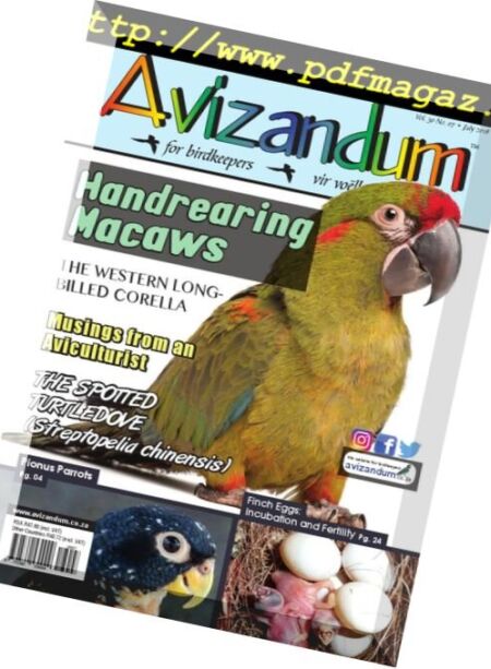 Avizandum – July 2018 Cover