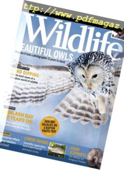 BBC Wildlife – July 2018