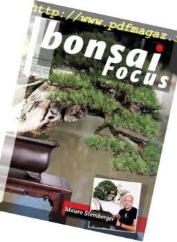 Bonsai Focus (Spanish Edition) – julio-agosto 2018