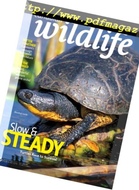 Canadian Wildlife – June-July 2018 Cover