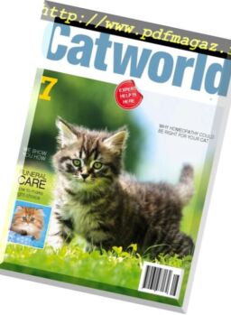 Cat World – August 2018