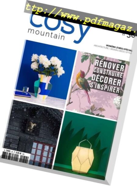 Cosy Mountain – juin 2018 Cover