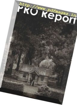 Nzipp Pro Report – June 2018