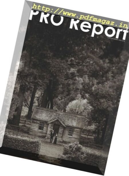 Nzipp Pro Report – June 2018 Cover