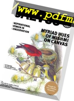 Saevus – March-May 2018