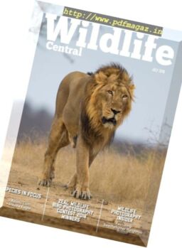 Wildlife Central – July 2018