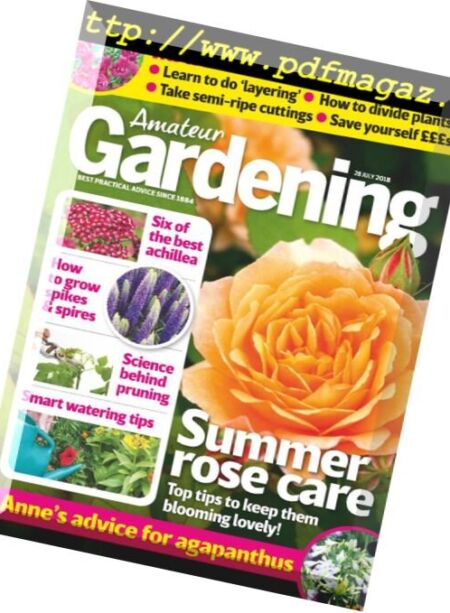Amateur Gardening – 28 July 2018 Cover