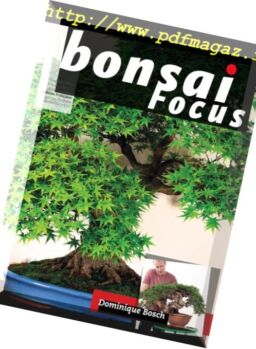 Bonsai Focus (French Edition) – septembre-octobre 2018