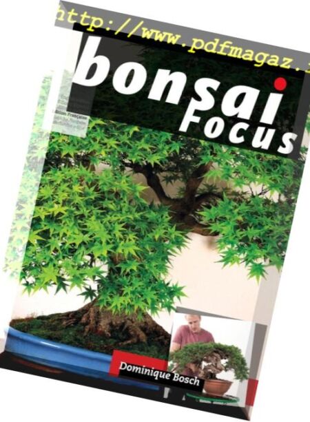 Bonsai Focus (French Edition) – septembre-octobre 2018 Cover