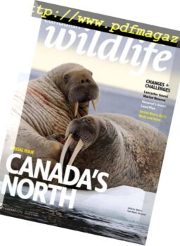 Canadian Wildlife – July-August 2018