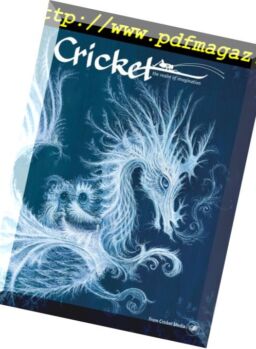 Cricket – January 2017