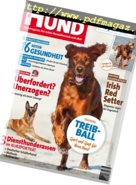 Der Hund – August 2016 Cover