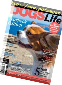 Dogs Life – August 2018