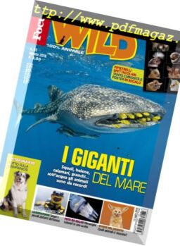 Focus Wild – agosto 2018