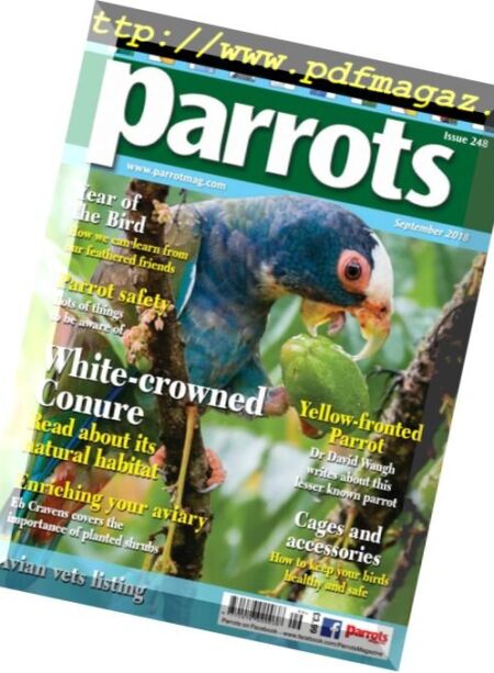 Parrots – September 2018 Cover