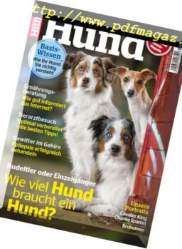 Partner Hund – September 2018