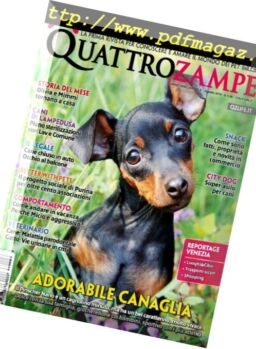 QuattroZampe – agosto 2018