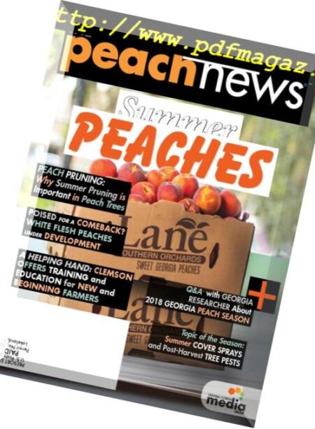 The Peach News – July 2018 Cover