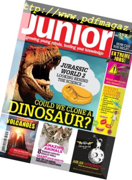 Very Interesting Junior – July 23, 2018 Cover