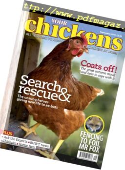 Your Chickens – September 2018
