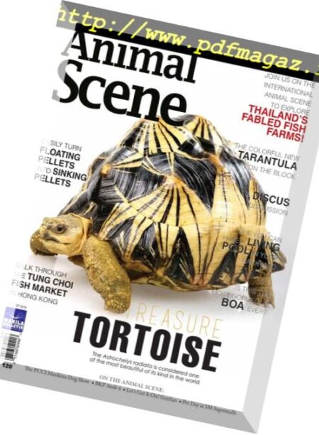 Animal Scene – August 2016 Cover