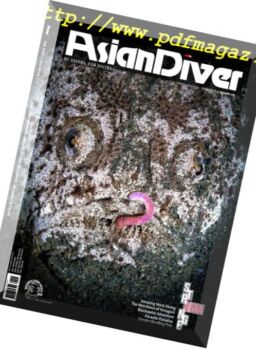 Asian Diver – July 2016