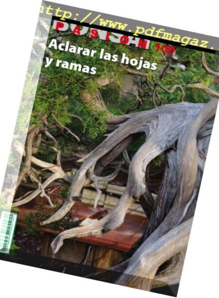 Bonsai Pasion – octubre 2018 Cover