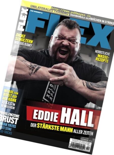 Flex Germany – November 2018 Cover