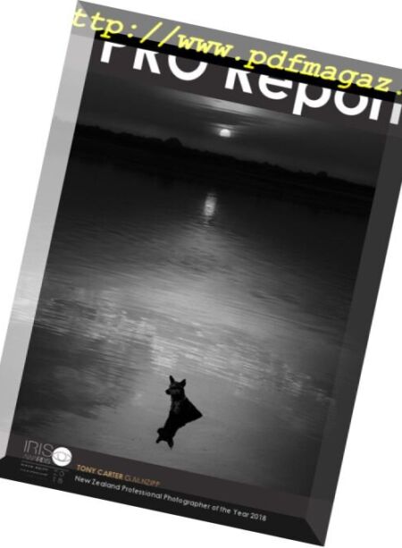 Nzipp Pro Report – Iris Awards 2018 Cover