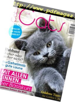 Our Cats – Oktober 2018