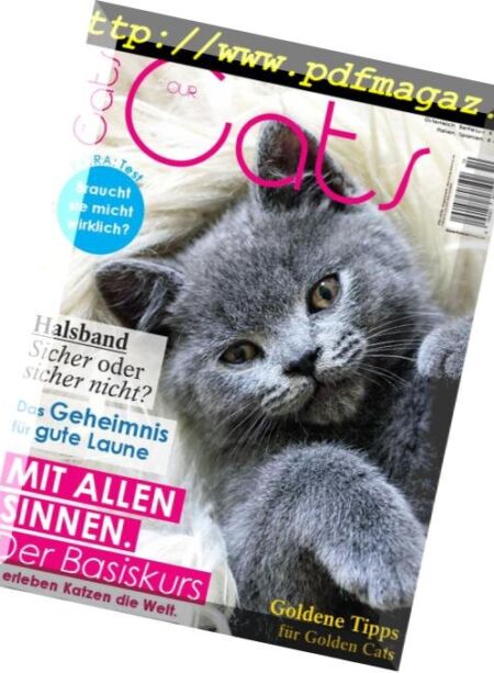 Our Cats – Oktober 2018 Cover