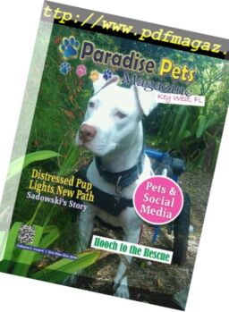 Paradise Pets Key West – October 2016