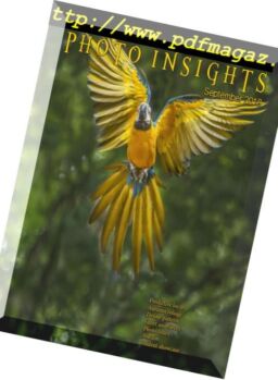 Photo Insights – September 2018