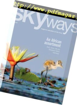Skyways – May 2017