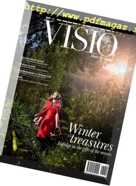 Stellenbosch Visio – June 2017 Cover
