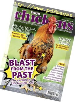 Your Chickens – October 2018