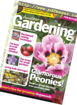 Amateur Gardening – 23 October 2018