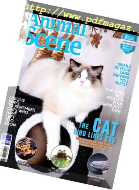 Animal Scene – October 2016 Cover