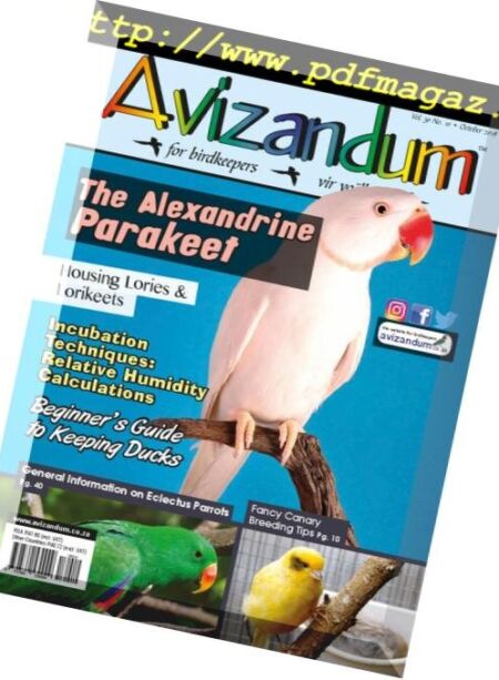 Avizandum – September 2018 Cover