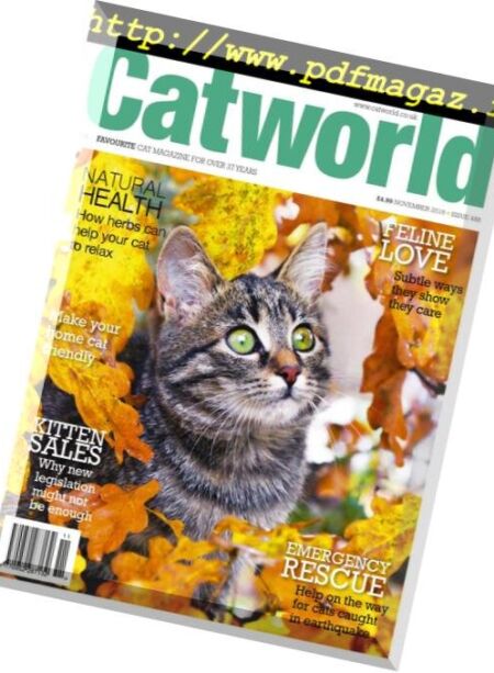 Cat World – November 2018 Cover