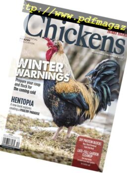 Chickens – September 2018