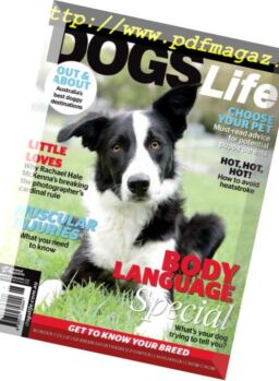 Dogs Life – February 2016