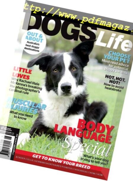 Dogs Life – February 2016 Cover