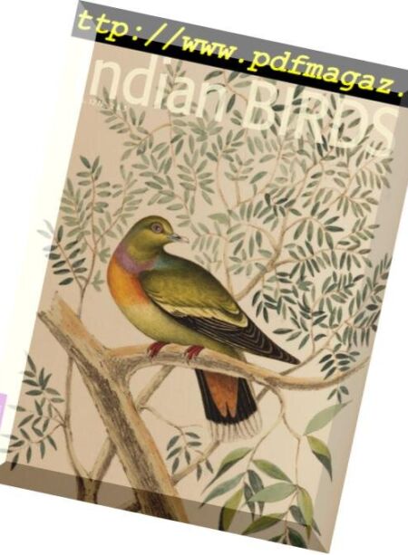Indian Birds – October 2016 Cover